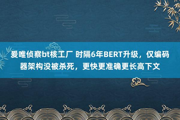 爰唯侦察bt核工厂 时隔6年BERT升级，仅编码器架构没被杀死，更快更准确更长高下文