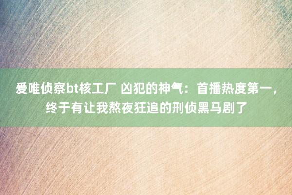 爰唯侦察bt核工厂 凶犯的神气：首播热度第一，终于有让我熬夜狂追的刑侦黑马剧了