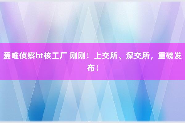 爰唯侦察bt核工厂 刚刚！上交所、深交所，重磅发布！