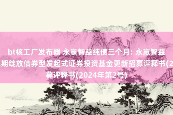 bt核工厂发布器 永赢智益纯债三个月: 永赢智益纯债三个月依期绽放债券型发起式证券投资基金更新招募评释书(2024年第2号)