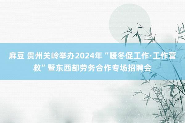 麻豆 贵州关岭举办2024年“暖冬促工作·工作营救”暨东西部劳务合作专场招聘会