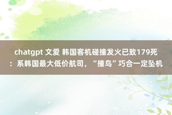 chatgpt 文爱 韩国客机碰撞发火已致179死：系韩国最大低价航司，“撞鸟”巧合一定坠机