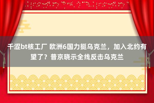 千涩bt核工厂 欧洲6国力挺乌克兰，加入北约有望了？普京晓示全线反击乌克兰