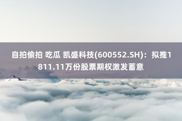 自拍偷拍 吃瓜 凯盛科技(600552.SH)：拟推1811.11万份股票期权激发蓄意