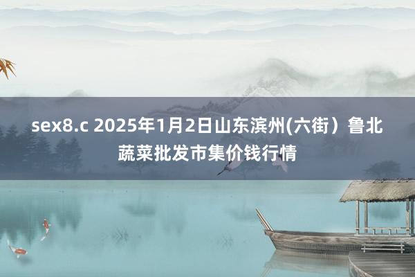 sex8.c 2025年1月2日山东滨州(六街）鲁北蔬菜批发市集价钱行情