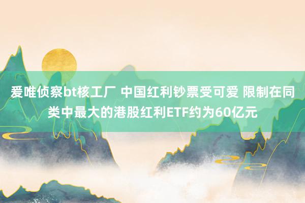 爰唯侦察bt核工厂 中国红利钞票受可爱 限制在同类中最大的港股红利ETF约为60亿元