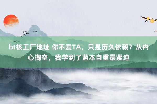 bt核工厂地址 你不爱TA，只是历久依赖？从内心掏空，我学到了蓝本自重最紧迫