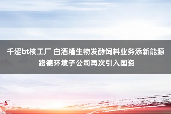 千涩bt核工厂 白酒糟生物发酵饲料业务添新能源 路德环境子公司再次引入国资