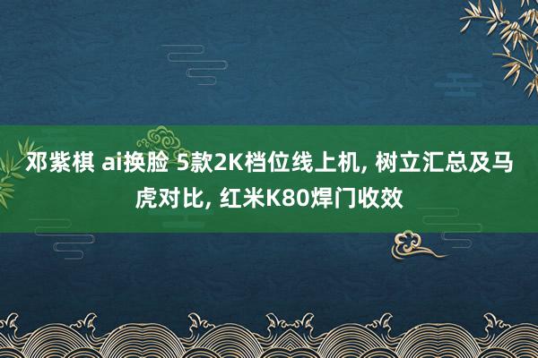 邓紫棋 ai换脸 5款2K档位线上机， 树立汇总及马虎对比， 红米K80焊门收效