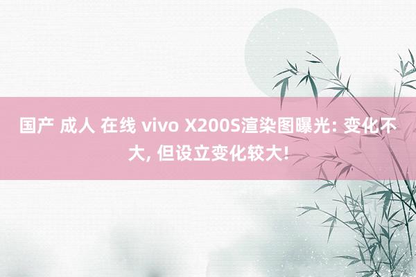 国产 成人 在线 vivo X200S渲染图曝光: 变化不大， 但设立变化较大!