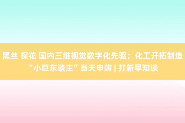 黑丝 探花 国内三维视觉数字化先驱；化工开拓制造“小巨东谈主”当天申购 | 打新早知谈