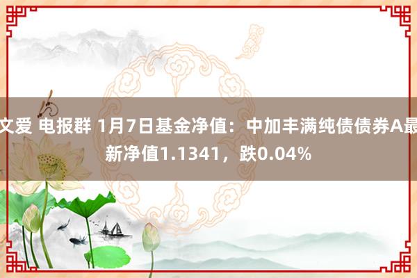 文爱 电报群 1月7日基金净值：中加丰满纯债债券A最新净值1.1341，跌0.04%