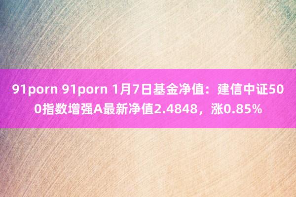 91porn 91porn 1月7日基金净值：建信中证500指数增强A最新净值2.4848，涨0.85%