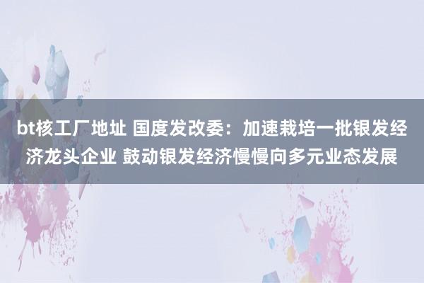 bt核工厂地址 国度发改委：加速栽培一批银发经济龙头企业 鼓动银发经济慢慢向多元业态发展