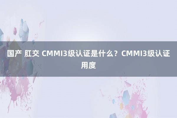 国产 肛交 CMMI3级认证是什么？CMMI3级认证用度