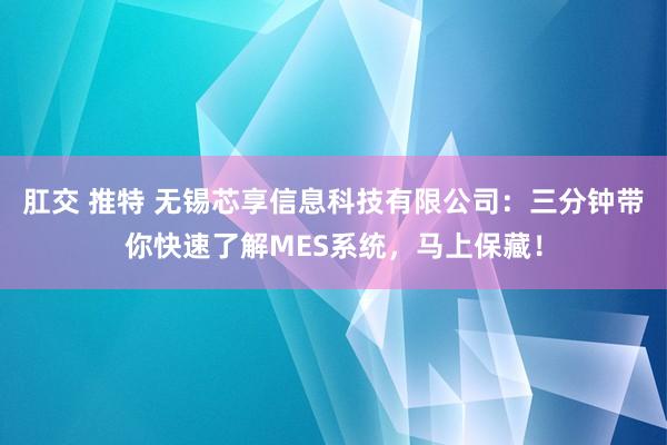 肛交 推特 无锡芯享信息科技有限公司：三分钟带你快速了解MES系统，马上保藏！