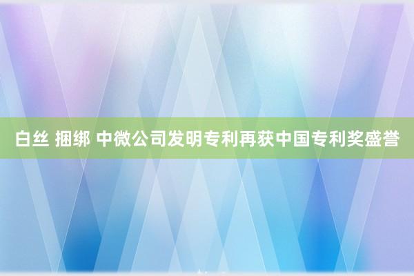 白丝 捆绑 中微公司发明专利再获中国专利奖盛誉