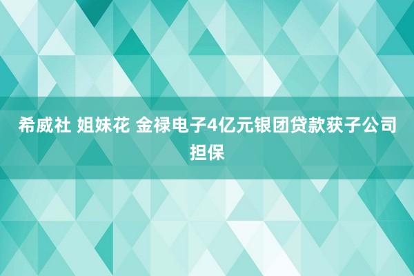 希威社 姐妹花 金禄电子4亿元银团贷款获子公司担保