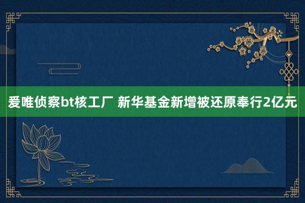 爰唯侦察bt核工厂 新华基金新增被还原奉行2亿元