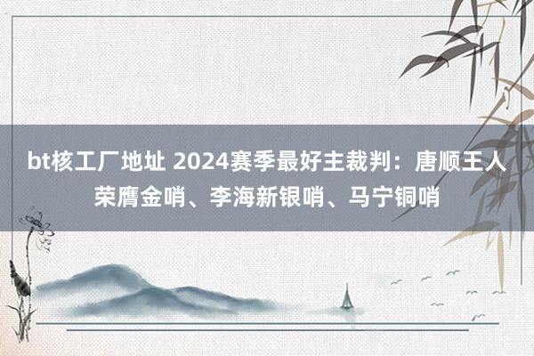 bt核工厂地址 2024赛季最好主裁判：唐顺王人荣膺金哨、李海新银哨、马宁铜哨