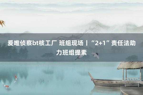 爰唯侦察bt核工厂 班组现场丨“2+1”责任法助力班组提素