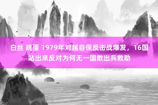 白丝 跳蛋 1979年对越自保反击战爆发，16国站出来反对为何无一国敢出兵救助