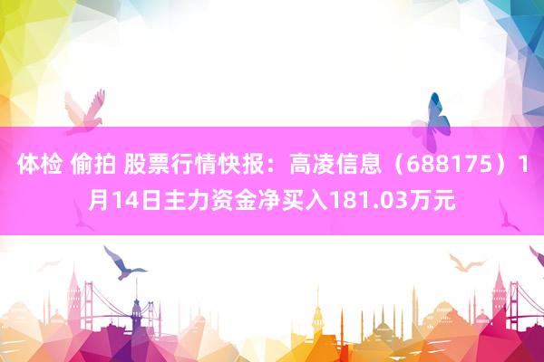 体检 偷拍 股票行情快报：高凌信息（688175）1月14日主力资金净买入181.03万元