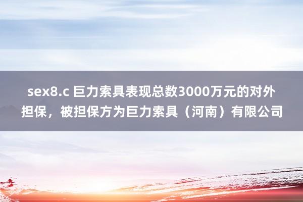 sex8.c 巨力索具表现总数3000万元的对外担保，被担保方为巨力索具（河南）有限公司