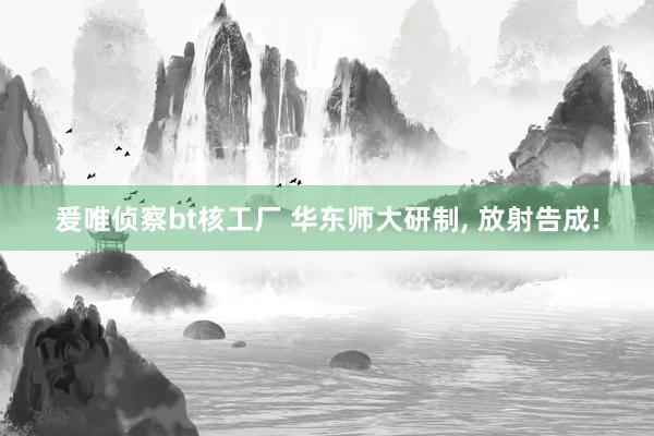 爰唯侦察bt核工厂 华东师大研制， 放射告成!