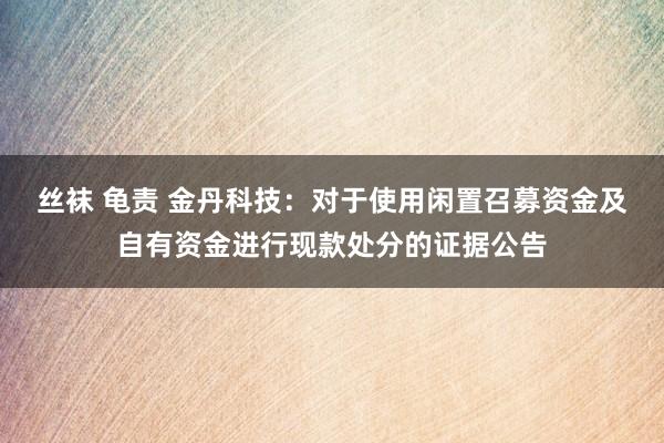 丝袜 龟责 金丹科技：对于使用闲置召募资金及自有资金进行现款处分的证据公告