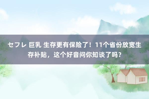 セフレ 巨乳 生存更有保险了！11个省份放宽生存补贴，这个好音问你知谈了吗？