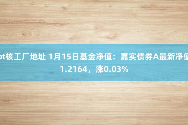 bt核工厂地址 1月15日基金净值：嘉实债券A最新净值1.2164，涨0.03%