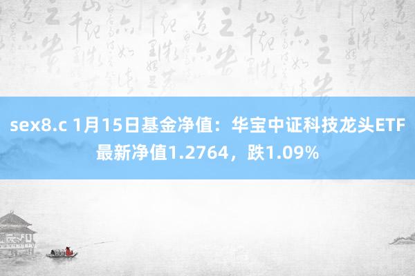 sex8.c 1月15日基金净值：华宝中证科技龙头ETF最新净值1.2764，跌1.09%